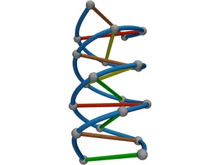 DNA Strand 3D Model