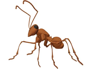 Ant 3D Model