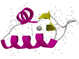Protein Molecule 3D Model
