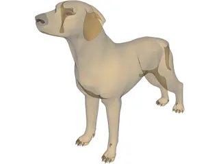 Dog Braco 3D Model