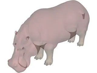 Hippopotamus 3D Model