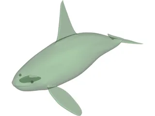 Whale Killer Male 3D Model