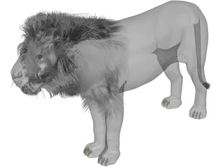 Lion 3D Model