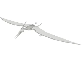 Pteranodon Ingens 3D Model