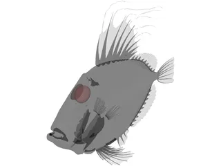 San Peters Fish 3D Model