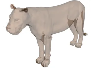 Lioness 3D Model