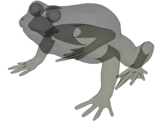 Frog 3D Model