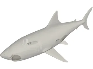 Shark White Male 3D Model