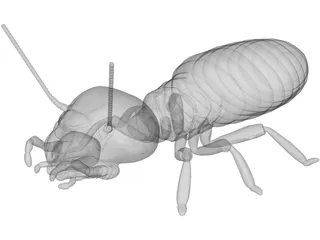 Termite 3D Model