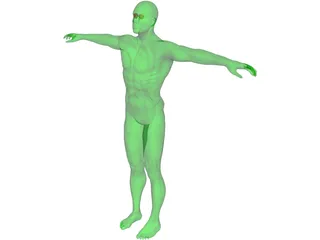 Swimmer 3D Model