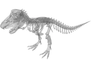 Tyrannosaurus Rex Skeleton 3D Model