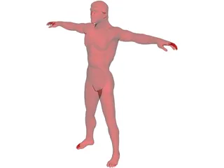 Man 3D Model