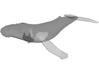 Whale Humpback 3D Model