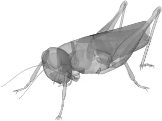 Grasshopper 3D Model