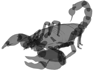 Scorpion 3D Model