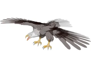 Eagle 3D Model