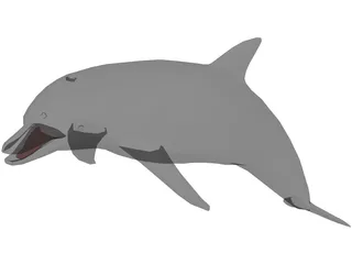 Dolphin 3D Model