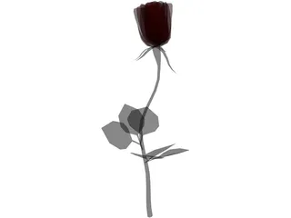 Rose 3D Model