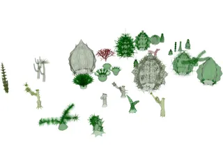 Cactuses Collection 3D Model