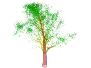 Tree 3D Model