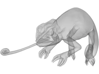 Chameleon 3D Model