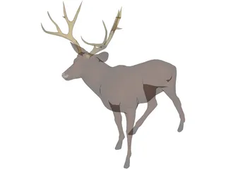 Deer Mule 3D Model