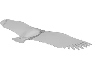 Vulture 3D Model