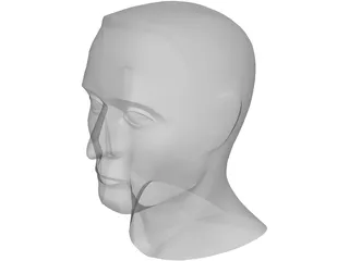 Head Male 3D Model