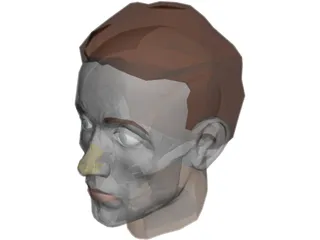 Face Muscles And Head 3D Model