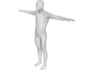 Human Body Male 3D Model