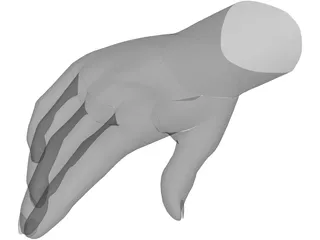 Hand Male 3D Model