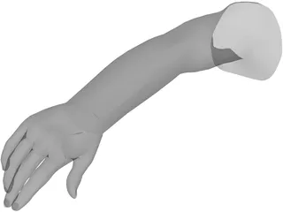 Arm Male 3D Model