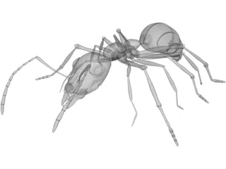 Ant 3D Model