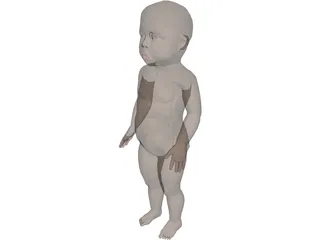 Infant 3D Model