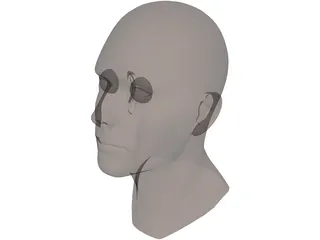 Head Male 3D Model