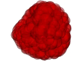 Raspberry 3D Model