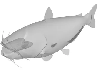 Blue Catfish 3D Model