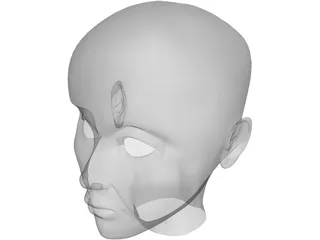 Human Head 3D Model