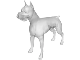 Dog Boxer 3D Model
