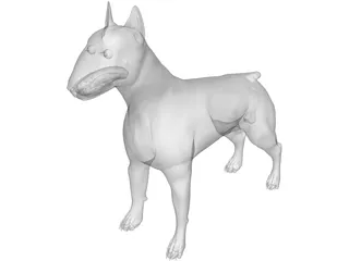 Dog Bull Terrier 3D Model