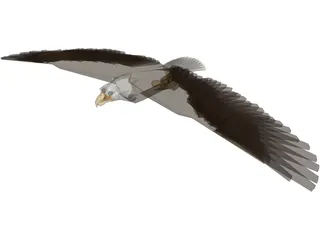 Bald Eagle 3D Model