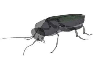 Firebeetle 3D Model