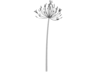 Bell Agapanthus Flower 3D Model