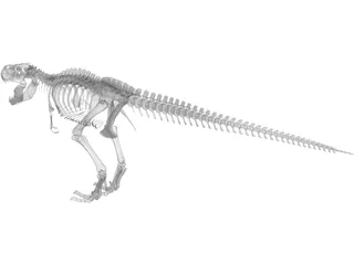 Tyrannosaurus Rex Skeleton 3D Model