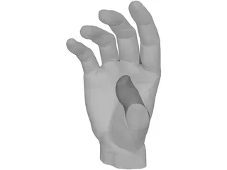 Hand 3D Model