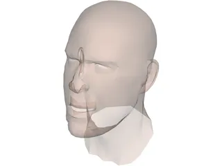 Human Head Face 3D Model