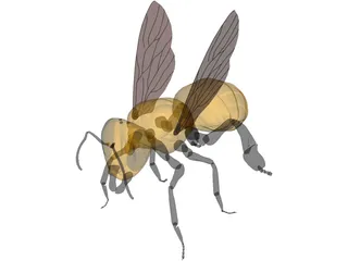 Bee 3D Model