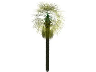 Washingtonia Palm 3D Model