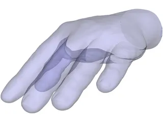 Hand Left 3D Model