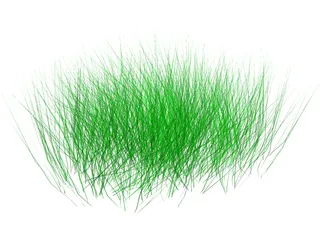 Grass 3D Model